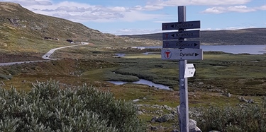 Få lokale besøkende på Hardangervidda